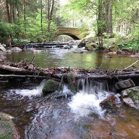 Fewo Kruse Am Wurmberg Braunlage Luaran gambar