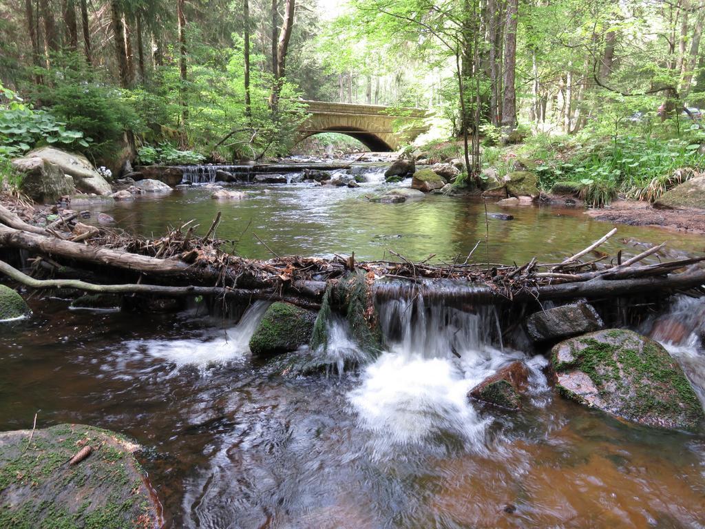 Fewo Kruse Am Wurmberg Braunlage Luaran gambar